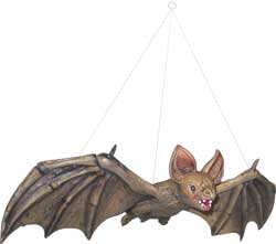 Fledermaus