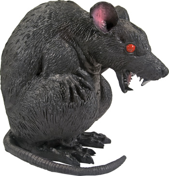 Ratte